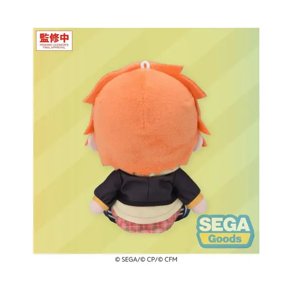 Hatsune Miku: Colorful Stage! Mysekai peluche Akito Shinonome (S) 13 cm