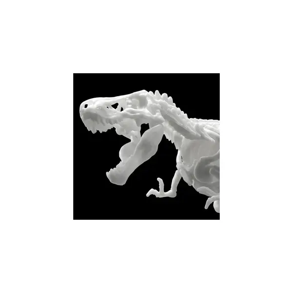 Jurassic - Maquette Tyrannosaure Limex Skeleteon Model Kit