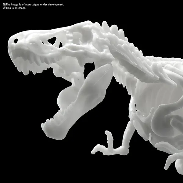 Jurassic - Maquette Tyrannosaure Limex Skeleteon Model Kit